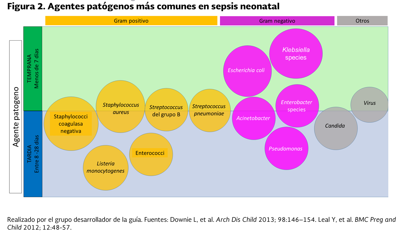 2. Etiologia y factores de riesgo 1 - GPC-SS-283-19